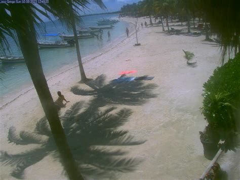 akumal bay webcam|【LIVE】 Webcam Akumal Bay